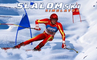 Image Slalom Ski Simulator